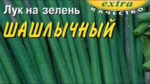 Лук на зелень