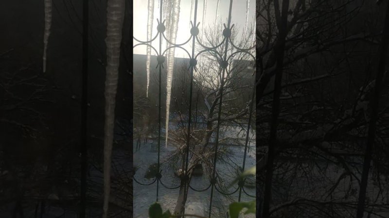 Зиме конец в Узбекистане