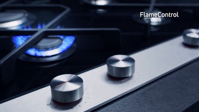 Газовые варочные панели Hansa с системой Flame Control