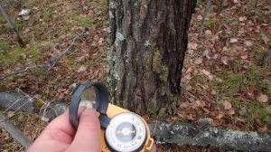 Ориентирование в кризисной ситуации. Правильный мох