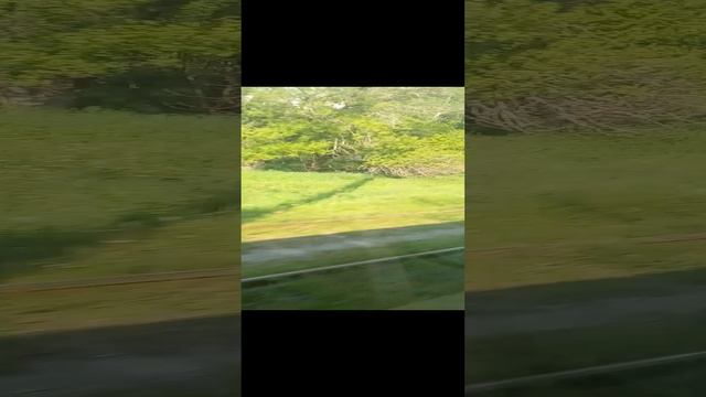 Когда едешь на трамвае за машиной.... Да мимо кладбища...
