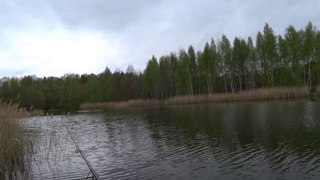 Спиннинг Щука в мае смотреть онлайн