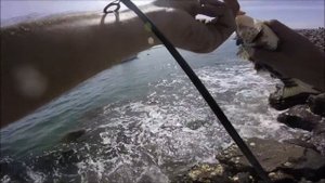 Random Tackle Review - Berkley Gulp! Shrimp & Gulp! Ghost Shrimp