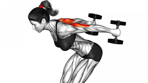 Лучшие упражнения для рук с гантелями для женщин.