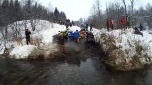 Медведь шатун 2016