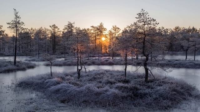 История для сна. Аудиорассказ история из жизни. Родные люди.