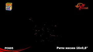 Батареи салютов PC605 - "Ритм жизни"