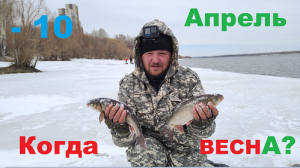 Зимняя рыбалка на фидер.  Попал на жор ЯЗЯ !! Фидер в Сибири! Winter fishing on a feeder in Siberia.
