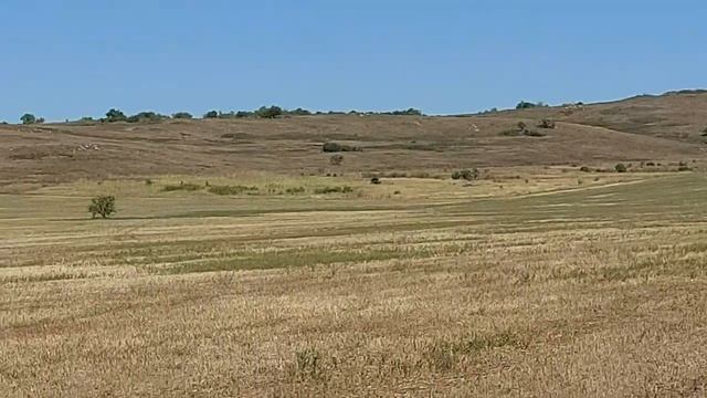 Поля и земли Краснодарского края. Сентябрь 2022 смотреть онлайн