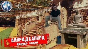Анурадхапура 🇱🇰 Шри-Ланка. Дерево Бодхи. Небывалое паломничество 💯Алекс Авантюрист