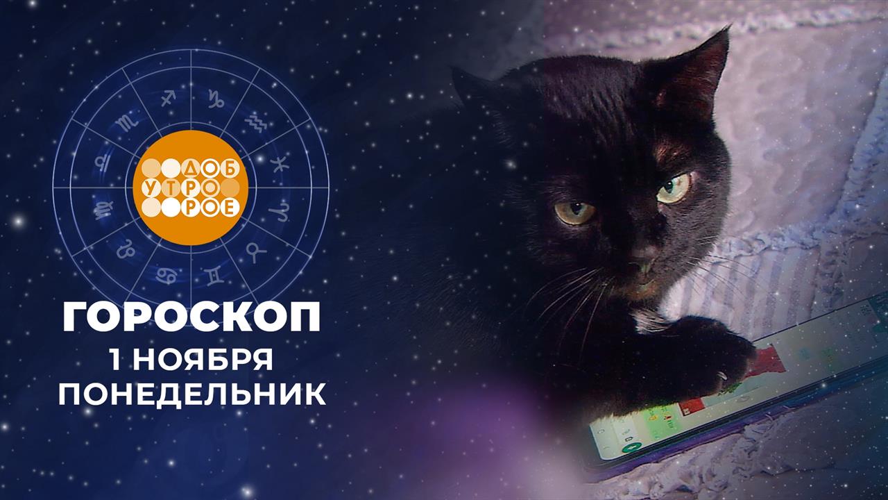 Гороскоп на ноябрь. Доброе утро. Фрагмент выпуска от 01.11.2021