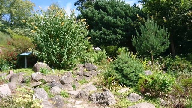 Прогулка по каменистым горкам ботанического сада Орхус 27 июля 2022, Дания