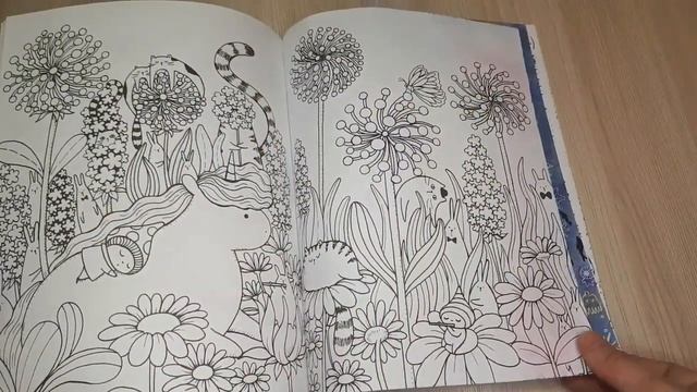 МОЯ КОЛЛЕКЦИЯ РАСКРАСОК/ЧАСТЬ 6/РАСКРАСКИ АНТИСТРЕСС/РАСКРАСКИ ДЛЯ ВЗРОСЛЫХ