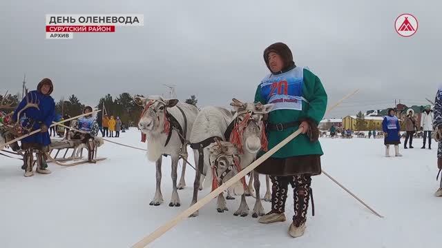 Приближается День оленевода