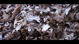 ВЕЧНАЯ ПЕЧЬ ИЗ КАМНЯ И ГЛИНЫ весом в ОДНУ ТОННУ! Примитивные технологии