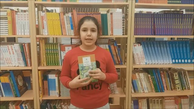 Дзансу представляет сборник рассказов о собаках из школьной библиотеки смотреть онлайн