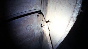 Заброшенный копер |BB|