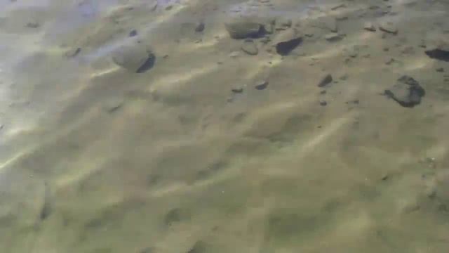 Лечебная грязь Soap Lake