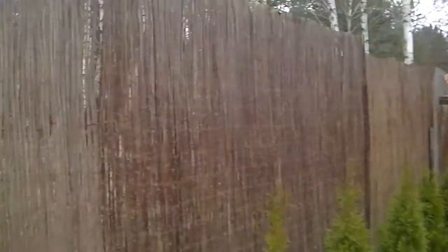 Необычный забор из лозы