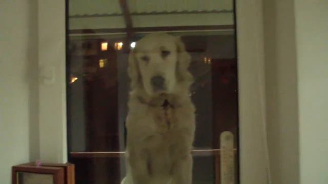 Попрошайка смотреть онлайн