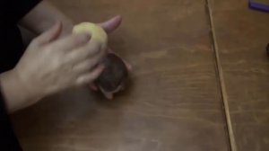 Очень вкусные печенье к кофе или к чаю