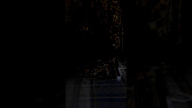 Наглая Светлана и Бабайка ??? смотреть онлайн