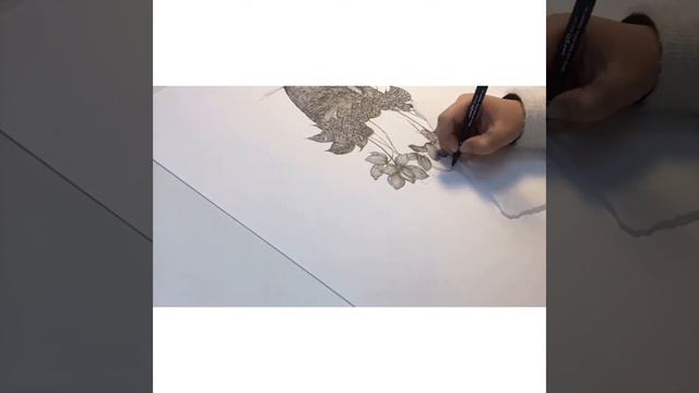 Botanical Drawing “ Cyclamen “ смотреть онлайн