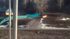 Волк в деревне