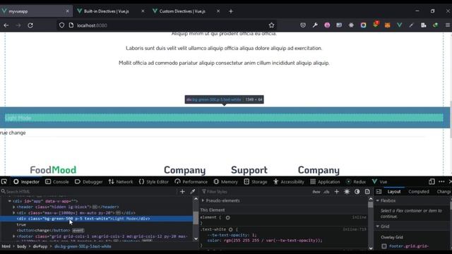 VueJS 3 Full Tutorial - #15  V-Directives (Built-in and Custom Directives)
