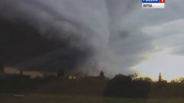 Фотографии животных и насекомых украсили стены Кировского зоологического музея (ГТРК Вятка) смотреть онлайн