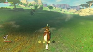 Zelda: Breath of the Wild - Amiibo ONLY - Hyrule Field (Part 2)