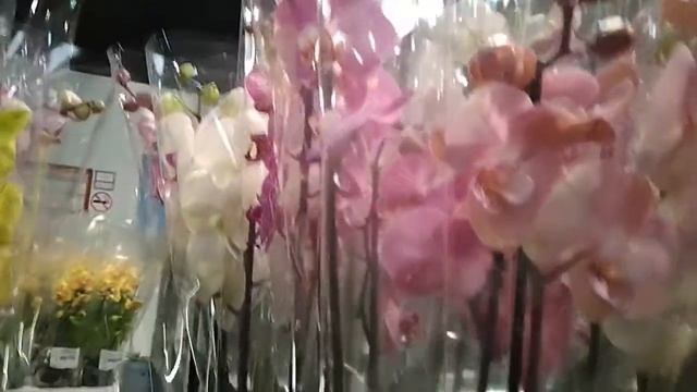 Обзор - СКЛАД JMP ??? в Москве на ул. Красной сосны, д. 2 (06.10.20) смотреть онлайн