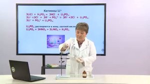 Химия. 9 класс. Качественные реакции на катионы /07.10.2020/