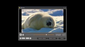 Как уменьшить размер видео без потери качества