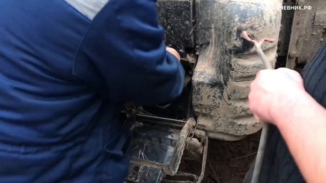 Мульчирование заросших полей/ выкорчевка пней/ переработка в щепу/