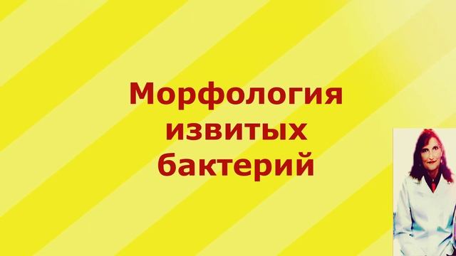 Классификация и Морфология бактерий. смотреть онлайн