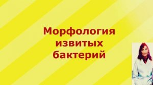 Классификация и Морфология бактерий.
