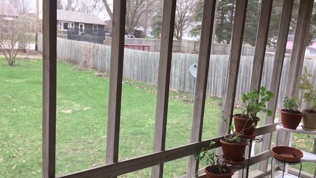 ШУМНОЕ УТРо - шумные соседи - но нам все одно здорово! смотреть онлайн