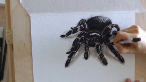 Рисую Паука 3d (акварель)