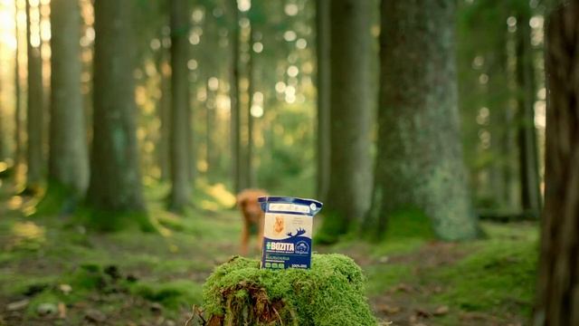 Bozita Mokra Karma - Łatwe otwieranie, łatwe zamykanie смотреть онлайн