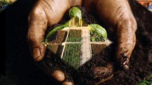 Разведение червей в домашних условиях как бизнес идея