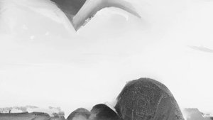 HammAli & Navai - Как тебя забыть (Slowed)