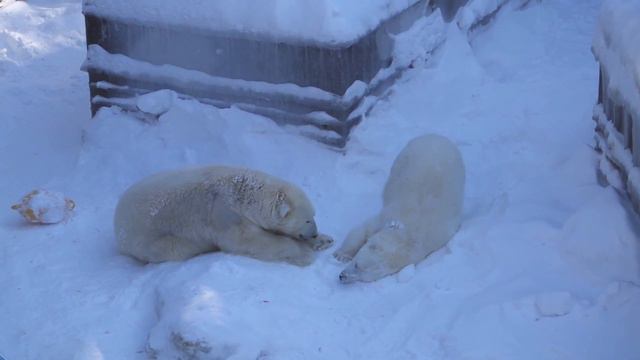 Кай и Герда Часть 2 07 03 2021 смотреть онлайн