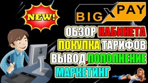 bigpay ltd - старт проекта 1 апреля 2022