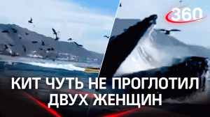 Кит случайно проглотил двух спортсменок на каяке, но пожевав их немного, выплюнул. Видео