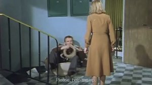 Ирония судьбы глазами иностранцев