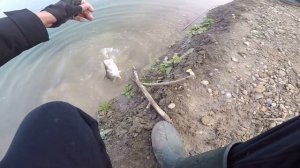 Zipbaits Khamsin 105SP-SR Рыбалка на Платнике Озёра Краснодара.