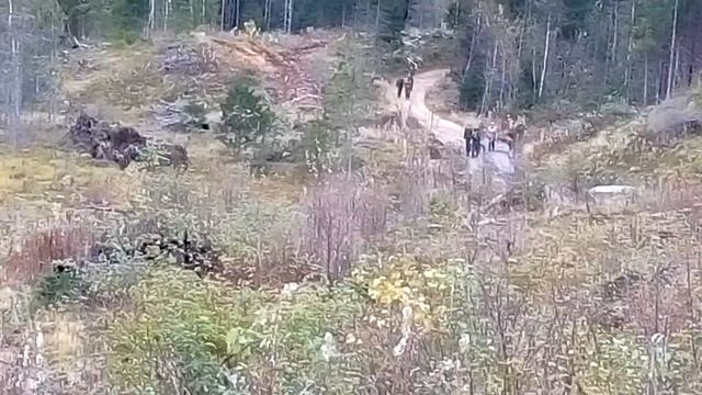 Вездеходы:) смотреть онлайн