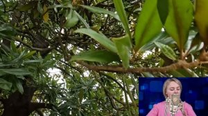 Жена улетела от мужа с любовником в Париж. Но спустя пять лет, когда она вернулась...
