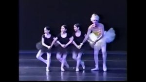 3 Very Little Swans and one Chicken